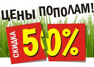 В октябре цены на баннеры по-полам! 
