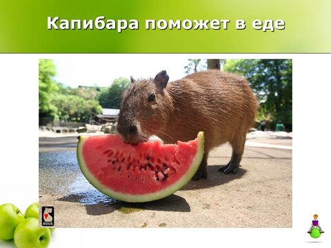 Капибара поможет в еде