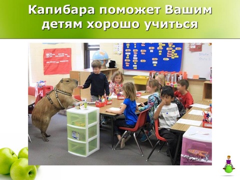 Капибара поможет Вашим детям хорошо учиться