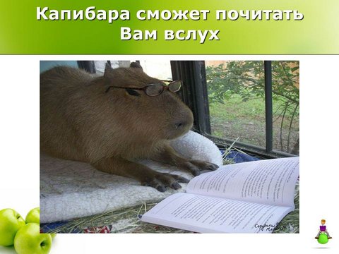 Капибара сможет почитать вам вслух