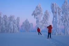 В поисках смысла