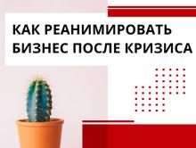 Как создать эффективные автономные системы для работы?