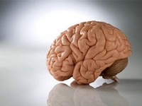 Анализируем личность партнера по переговорам. Влияем на него и его решения. Технологии влияния от Михаила Казанцева