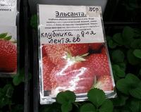 Если Ваши клиенты – простые люди, дайте им ПРОСТУЮ причину выбрать именно Ваш товар или Вашу услугу